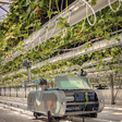 Roboty trénujú zber paradajok a jahôd v prostredí omniverse